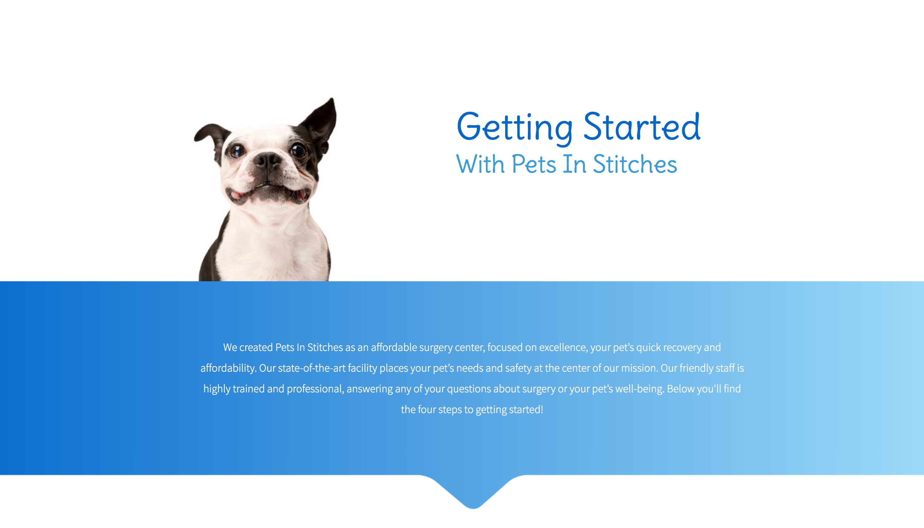 A screenshot of a introduction section of "getting started" with a boston terrier