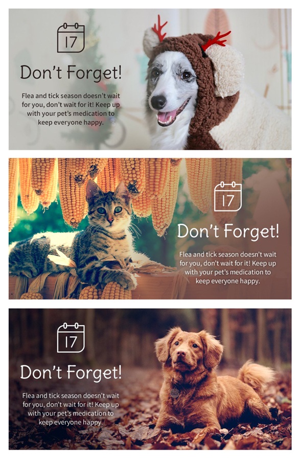 A collection of three "don't forget" graphics